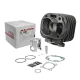MF5461 Cilindro Malossi 70cc DM 47 Minarelli Orizzontale 50 2T AC Aria SP10