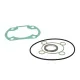 MF4149 Guarnizioni Cilindro Malossi 47 47,6 mm Aerox SR F12 F15 2T Minarelli LC