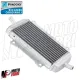 MF2957 Radiatore Acqua Piaggio Vespa GT GTS GTV HPE 125 200 250 300 Originale