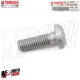 MF3022 Perno disco freno anteriore posterior Yamaha TMax 500 530 560 2004 / 2024