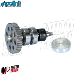 Polini Kit Revisione Pompa acqua Piaggio ZIP SP NRG MC3 Power NTT Runner SR 50 2