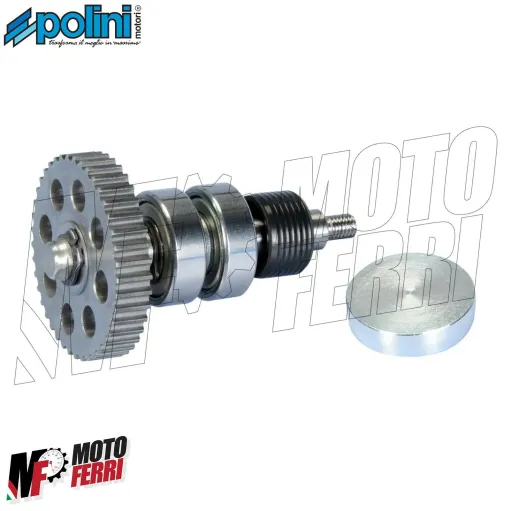 Polini Kit Revisione Pompa acqua Piaggio ZIP SP NRG MC3 Power NTT Runner SR 50