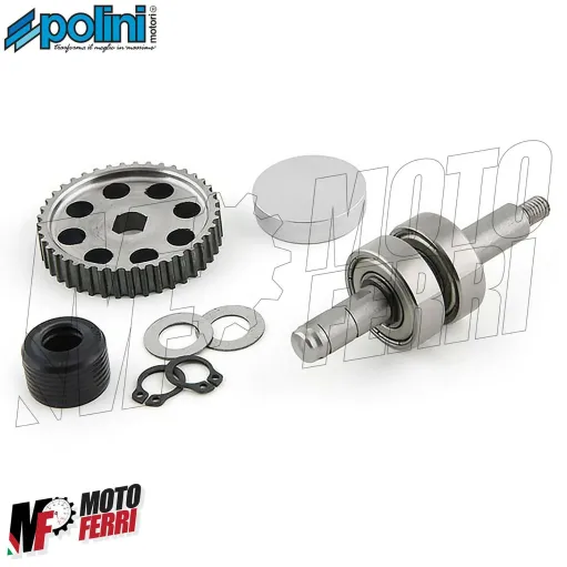 Polini Kit Revisione Pompa acqua Piaggio ZIP SP NRG MC3 Power NTT Runner SR 50