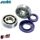 REVISIONE ALBERO MOTORE CONO 20 CUSCINETTI PARAOLI POLINI VESPA 50 PK HP RUSH FL