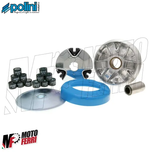 VARIATORE COMPLETO POLINI PIAGGIO BOSS BOXER BRAVO CBA CIAO ECO GRILLO SI MIX FL
