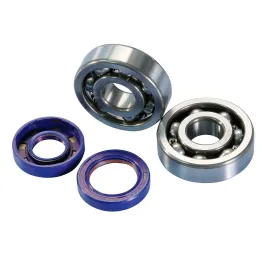 MF1554 Kit cuscinetti albero motore Polini Paraoli Motore Minarelli AM6 AM345