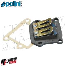 MF2641 Pacco Lamellare valvola carbonio Polini MBK Booster BWS Spirit 50 2T 2