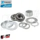 Kit gruppo ralle Serie Sterzo forcella Piaggio X8 X9 Gilera Nexus cod 5982615