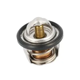 Termostato Originale Yamaha XMax X-Max XCity X-City 125cc - Cod. 1B9124110000