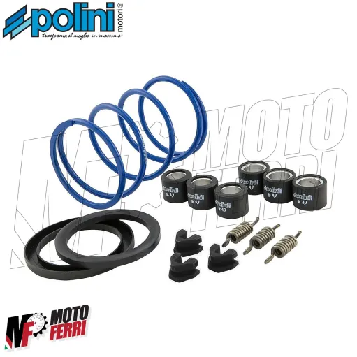 MF1739 Variatore Polini Hi-Speed Piaggio Liberty NRG Zip Runner Vespa LX 50 4T