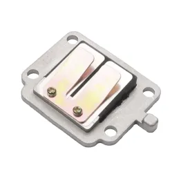 Pacco Valvola Lamellare Cilindro Verticale Mbk Yamaha Booster Bws Spirit 50 2T