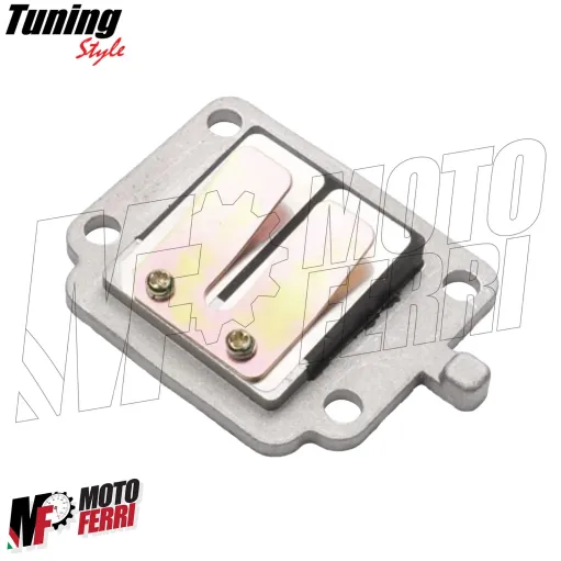 Pacco Valvola Lamellare Cilindro Verticale Mbk Yamaha Booster Bws Spirit 50 2T