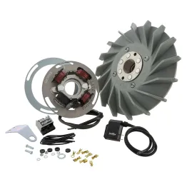 Accensione Elettronica Pinasco Flytech Vespa 125 150 VL1 VL2 VL3 VN1 VN2 VN3 VNA VBA VB1 FAROBASSO