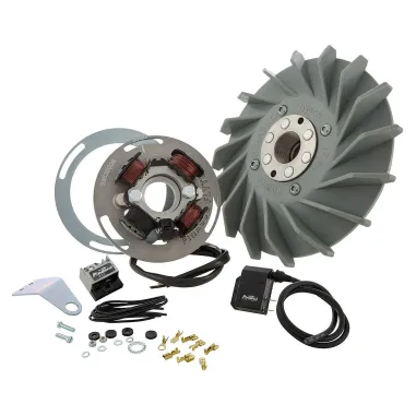 Accensione Elettronica Pinasco Flytech Vespa 125 150 VL1 VL2 VL3 VN1 VN2 VN3 VNA VBA VB1 FAROBASSO