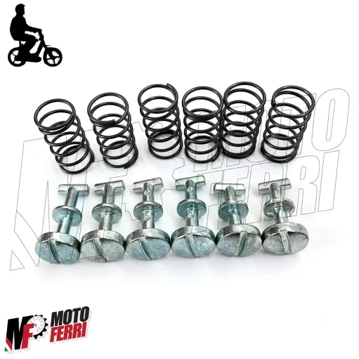 Kit 6 Perni Ritegni + 6 Molle per Coppia Carterini Fiancatine Laterali Piaggio Ciao PX
