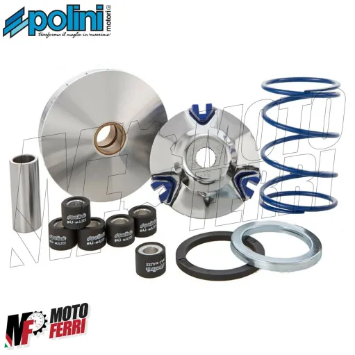 MF2628 Variatore Polini Hi-Speed Piaggio ZIP Runner NRG NTT Typhoon SR 50 2T