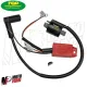 MF3112 Centralina e Bobina Top Rossa Anticipo Variabile Piaggio NRG Runner ZIP ET2