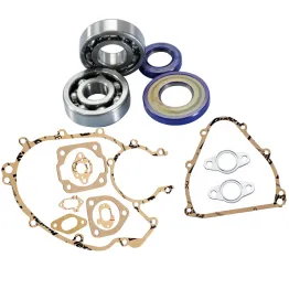 MF0950 - Kit Guarnizioni Cuscinetti Albero Motore Cono 19 Polini Vespa 50 Special