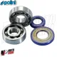 MF0950 - Kit Guarnizioni Cuscinetti Albero Motore Polini Vespa 50 R L N 125 ET3