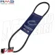 MF0072 Cinghia Trasmissione Piaggio Ciao PX SC FL Monomarcia Senza Variatore