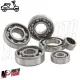 Kit Cuscinetti Albero Motore Ruota Vespa 50 125 PK S XL N V Rush FL FL2 HP