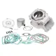 MF3491 Kit Cilindro Big Bore 154 Polini Aprilia 125 Rotax 122 123 HM CRE 125