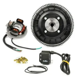 Accensione Pinasco FlyTech Anticipo Variabile Avviamento Elettrico Ape Vespa PK