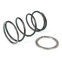 MF1944 Molla Di Contrastro + Spring Sliders Pinasco per Piaggio 125 250 300 4T