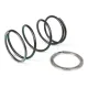MF1944 Molla Di Contrastro + Spring Sliders Pinasco per Piaggio 125 250 300 4T