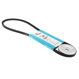 Cinghia + Puleggia Dm 70 per Cilindro potenziato Piaggio Ciao SC PX Monomarcia