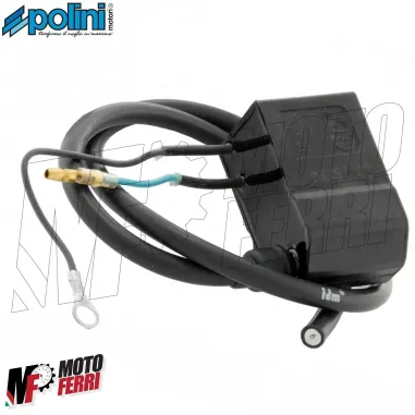 MF3561 Centralina Accensione Polini Analogica Vespa 125 150 200 PX Arcobaleno