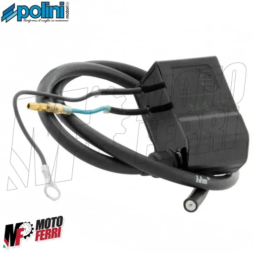 MF3561 Centralina Accensione Polini Analogica Vespa 125 150 200 PX Arcobaleno