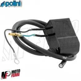 MF3561 Centralina Accensione Polini Analogica Vespa 50 Special 125 ET3 Primavera Pk 2
