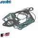 MF3579 Serie Guarnizioni Cilindro Polini 165cc Dm 64 Cagiva Mito Raptor 125