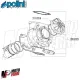 MF3580 Serie Guarnizioni Cilindro Polini Dm60 Motore Rotax 122 123 Aprilia 125