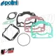 MF3580 Serie Guarnizioni Cilindro Polini Dm60 Motore Rotax 122 123 Aprilia 125