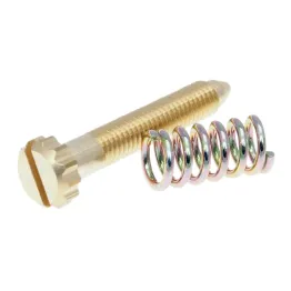 MF3603 Vite + Molla Regolazione Minimo per Carburatore Polini PWK 24 26 28 30