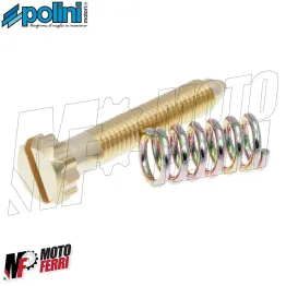MF3603 Vite + Molla Regolazione Minimo per Carburatore Polini PWK 24 26 28 30 2