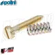 MF3603 Vite + Molla Regolazione Minimo per Carburatore Polini PWK 24 26 28 30