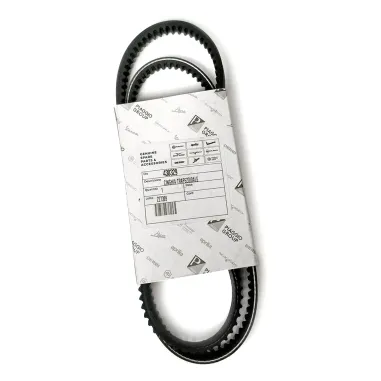MF3613 Cinghia Variatore Originale Piaggio Si Boss Boxer con Variatore Dentata