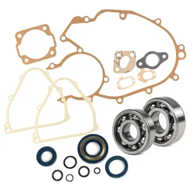 Kit Cuscinetti Albero + Paraoli O-Ring Guarnizioni Motore per Ape 50 Cono 19 20