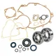 Kit Guarnizioni Paraoli Cuscinetti Albero Motore Ape 50 RST MIX FL FL2 FL3