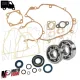 Kit Guarnizioni Paraoli Cuscinetti Albero Motore Ape 50 RST MIX FL FL2 FL3