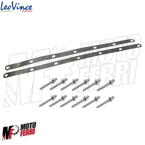 MF3622 - Fondello Carbonio Marmitta LeoVince LV One TMax 500 530 560 (2008-2024)