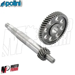 Kit Ingranaggi Rapporti Allungati Polini Piaggio Beverly 125 250 300 (2004/2024) 2