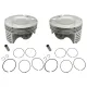 MF2133 Kit 2 Pistoni Completi Vertex HC Dm 67.97 B - Yamaha 530 TMax 2012 / 2019