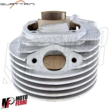 MF1231 - Kit Gruppo Cilindro Quattrini M1L 56X51 GTR Lamellare Vespa Special PK