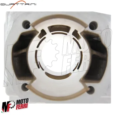 MF1231 - Kit Gruppo Cilindro Quattrini M1L 56X51 GTR Lamellare Vespa Special PK