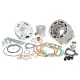 Kit Cilindro Gruppo Polini Dm 52 Corsa 39,3 Piaggio LC Runner ZIP NRG MC3 Quartz