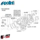 Kit Cilindro Gruppo Polini Dm 52 Corsa 39,3 Piaggio LC Runner ZIP NRG MC3 Quartz